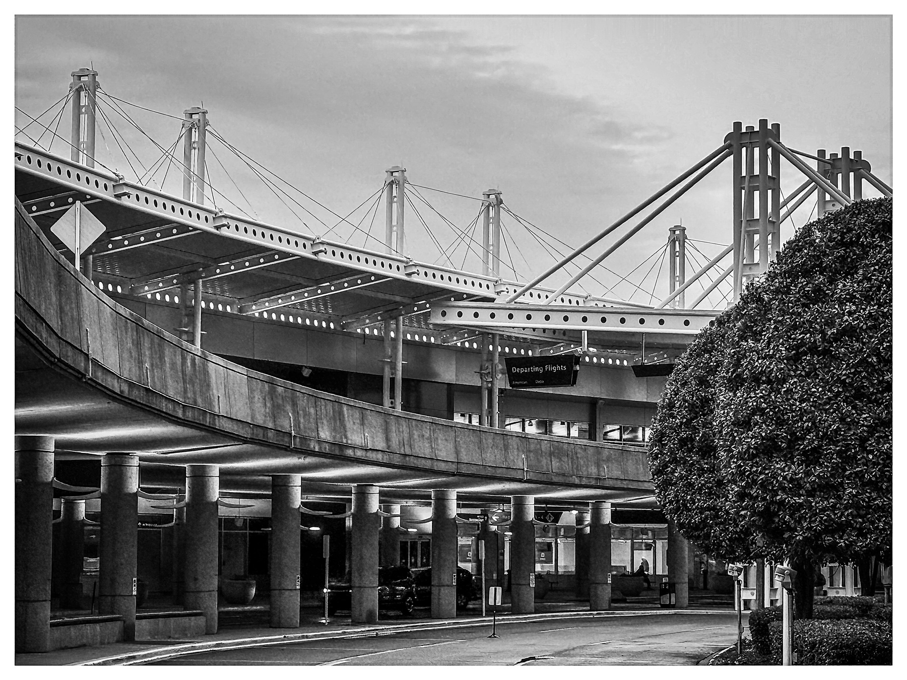 Auto-generated description: A black and white photograph depicts a modern architectural structure with elevated walkways and cables, set against a large rounded bush in the foreground.