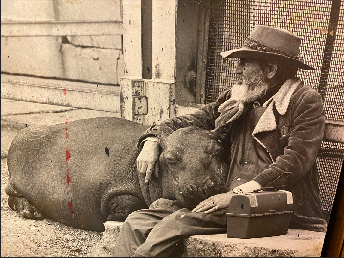 Auto-generated description: A man with a beard and hat sits affectionately beside a resting hippo in a black and white photo.